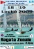 Regata Zonale Classi Contender e Flying Dutchmann