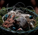 Clean Sea Life - A pesca di Plastica